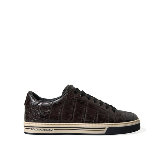 Dolce & Gabbana Brown Croc Exotic Leather Men Casual Sneakers Shoes