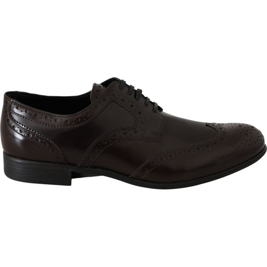 Dolce & Gabbana Brown Leather Broques Oxford Wingtip Shoes